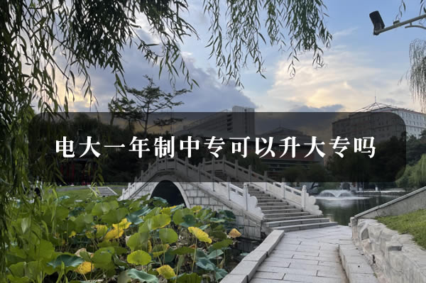 电大一年制中专可以升大专吗