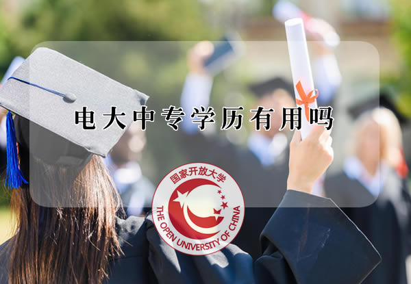 电大中专学历有用吗