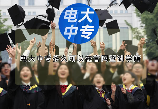 电大中专多久可以在官网查到学籍？
