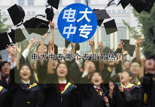 电大中专哪个专业最热门？